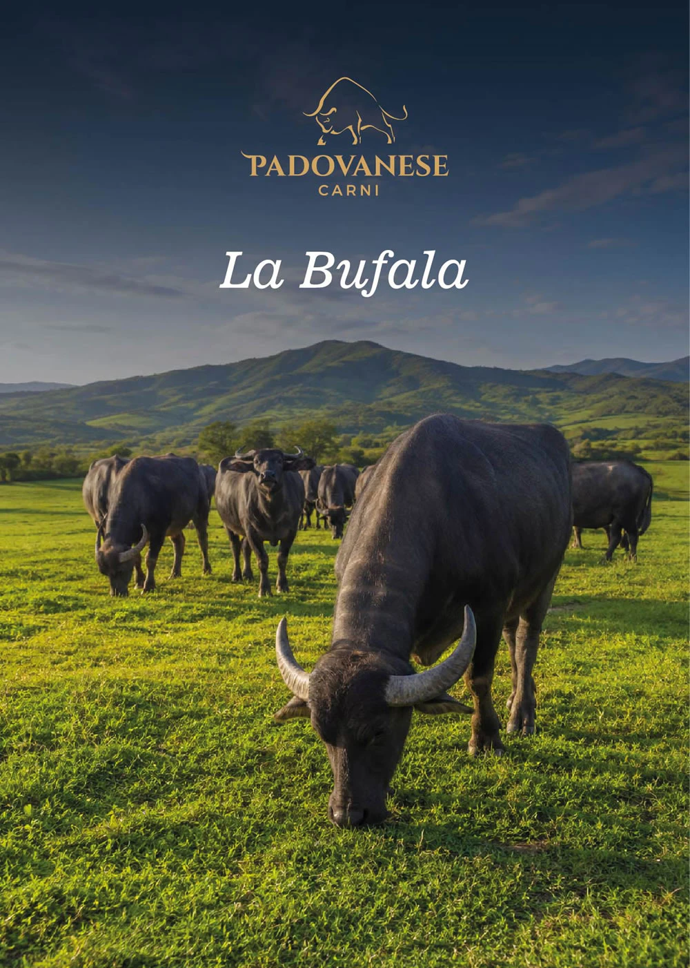 Catalogo La Bufala