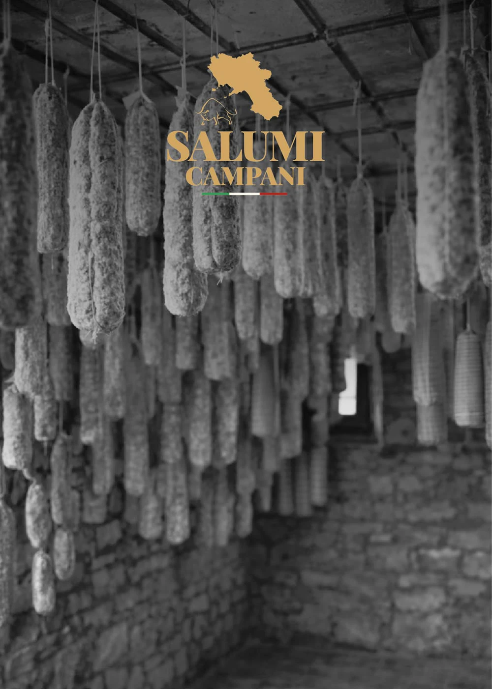 Catalogo Salumi Campani